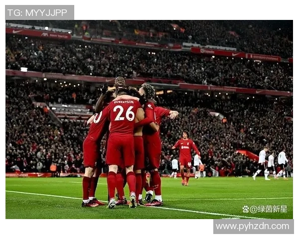 主场足球比赛中球迷情绪对球队表现的影响机制及其作用路径研究